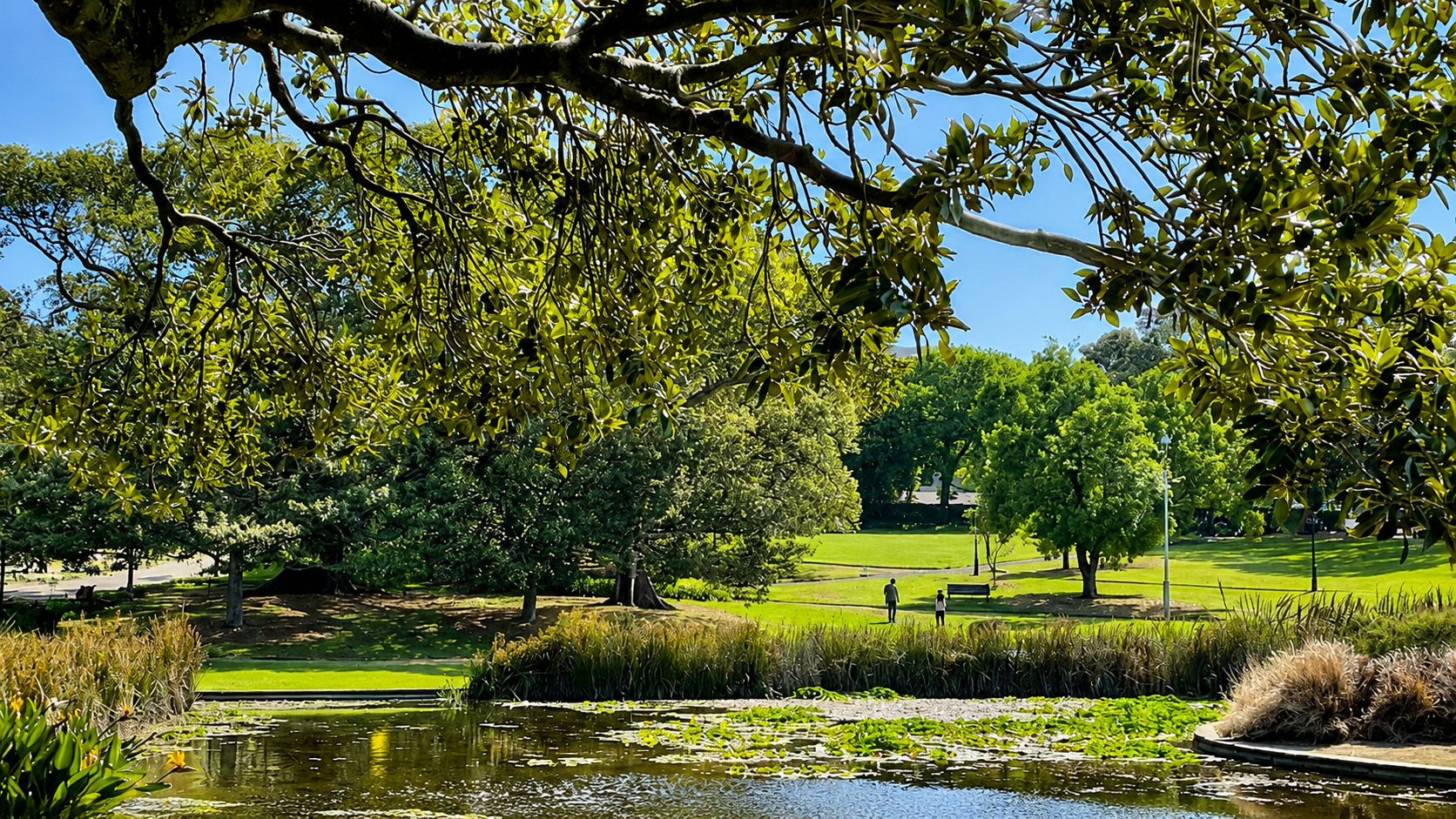 Victoria Park
