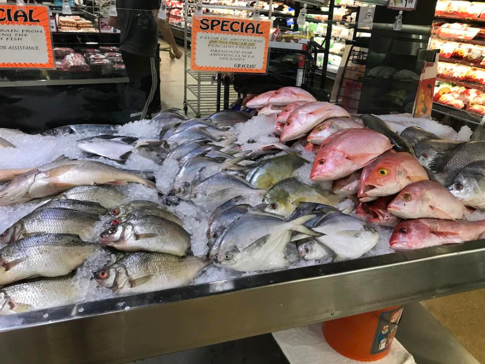 Point Image Sydney Fish Market