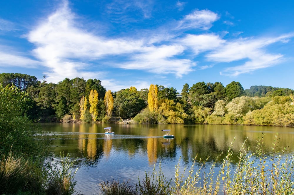 daylesford
