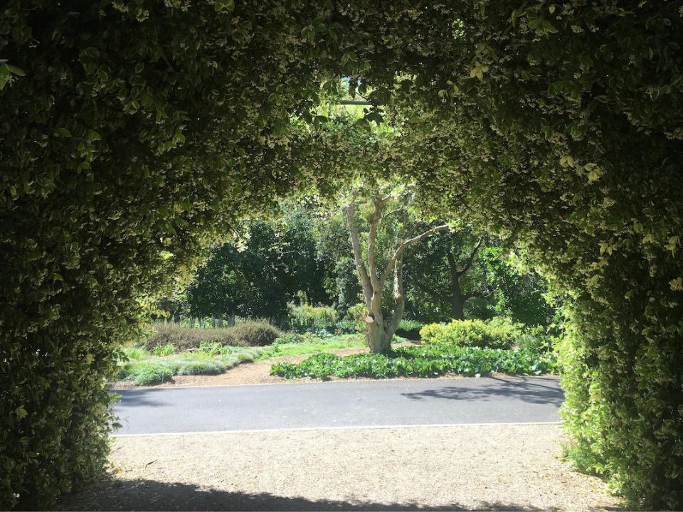 Point Image Adelaide Botanic Garden