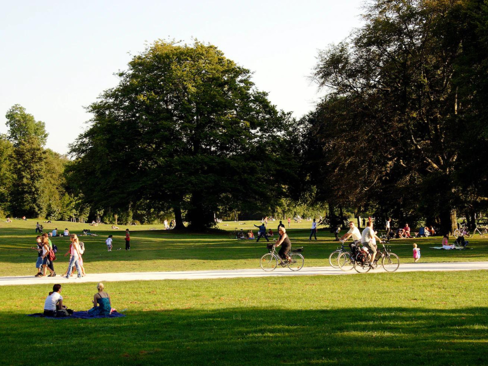 Point Image Redfern Park