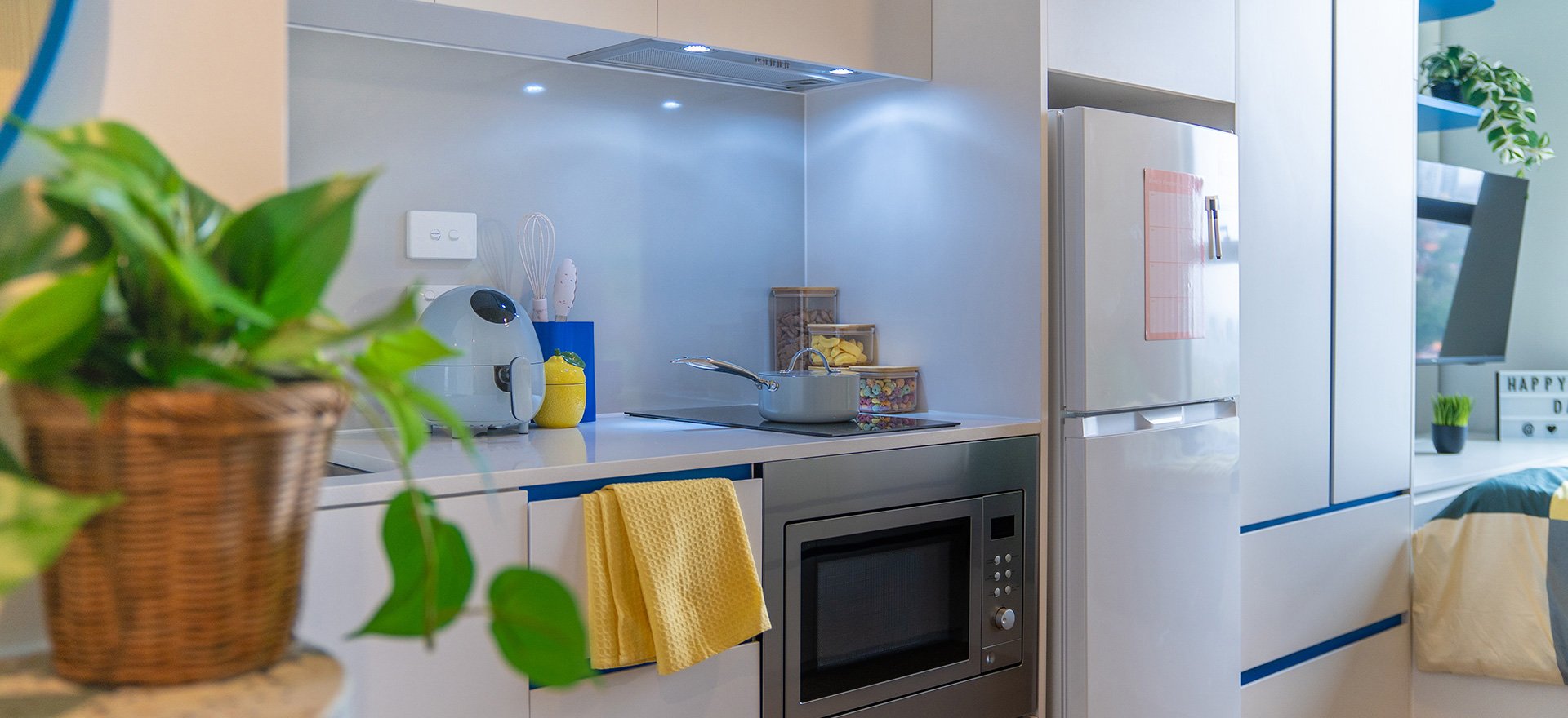 Scape Kensington Signature Studio.